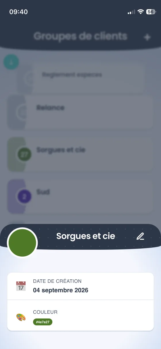 Groupes de clients dans Stenko Pro